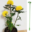 Hastes para Suporte de Plantas de Jardim | LeafLift