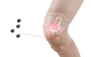 Joelheira Profissional de Fisioterapia Magnética - FisioMed