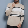 Suéter Masculino de Tricô com Gola Redonda e Manga Longa em Lã